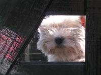 Klik op de foto voor groter formaat